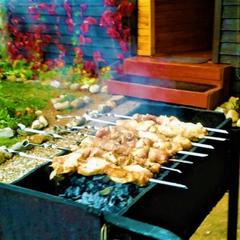 Гостевой дом на базе "Чайка-Селигер", Селижарово, Тверская область