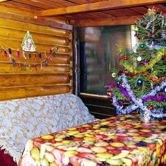 Гостевой дом на базе "Чайка-Селигер", Селижарово, Тверская область