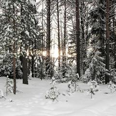 Гостевой дом на базе "Чайка-Селигер", Селижарово, Тверская область