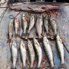 База отдыха Дом на Трехречье, Харабали, Астраханская область