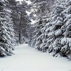 Гостевой дом на базе "Чайка-Селигер", Селижарово, Тверская область