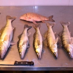 База отдыха Дом на Трехречье, Харабали, Астраханская область