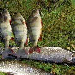 База отдыха Дом на Трехречье, Харабали, Астраханская область