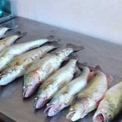 База отдыха Дом на Трехречье, Харабали, Астраханская область