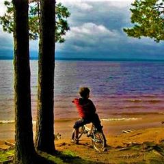 Гостевой дом на базе "Чайка-Селигер", Селижарово, Тверская область