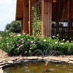 База отдыха Дом на Трехречье, Харабали, Астраханская область