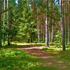 Гостевой дом на базе "Чайка-Селигер", Селижарово, Тверская область