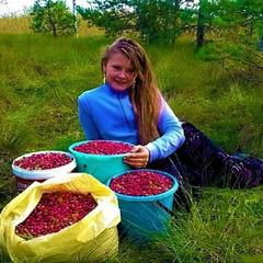 Гостевой дом на базе "Чайка-Селигер", Селижарово, Тверская область