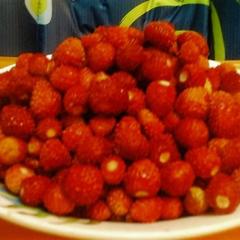 Гостевой дом на базе "Чайка-Селигер", Селижарово, Тверская область