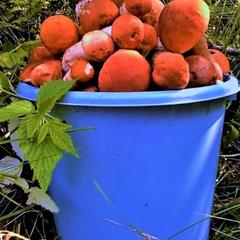 Гостевой дом на базе "Чайка-Селигер", Селижарово, Тверская область