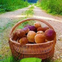 Гостевой дом на базе "Чайка-Селигер", Селижарово, Тверская область