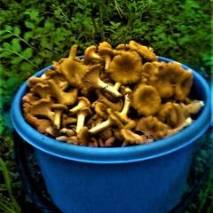 Гостевой дом на базе "Чайка-Селигер", Селижарово, Тверская область