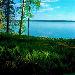 Гостевой дом на базе "Чайка-Селигер", Селижарово, Тверская область