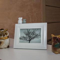 Хостел Сова, Семёнов, Нижегородская область