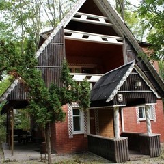 База отдыха Алмаз, Семилуки, Воронежская область