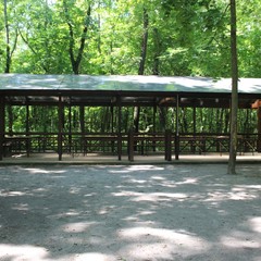 База отдыха Алмаз, Семилуки, Воронежская область