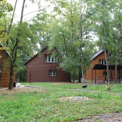 База отдыха Алмаз, Семилуки, Воронежская область