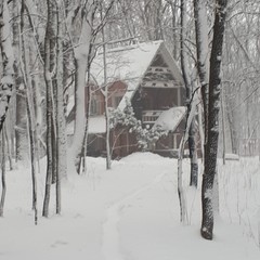 База отдыха Алмаз, Семилуки, Воронежская область
