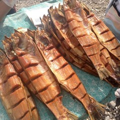 База отдыха Дары Дона, Серафимович, Волгоградская область