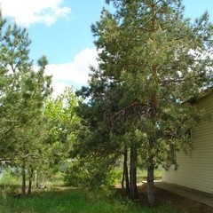 База отдыха Донские просторы, Серафимович, Волгоградская область