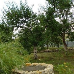 База отдыха Донские просторы, Серафимович, Волгоградская область