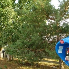 База отдыха Донские просторы, Серафимович, Волгоградская область