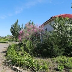 База отдыха Донские просторы, Серафимович, Волгоградская область