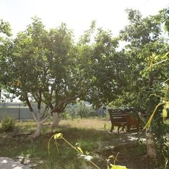 База отдыха Донские просторы, Серафимович, Волгоградская область