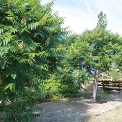 База отдыха Донские просторы, Серафимович, Волгоградская область