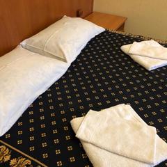 Отель Аристократъ, Сергиев-Посад, Московская область