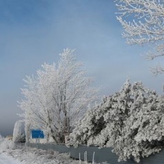База отдыха Донские просторы, Серафимович, Волгоградская область