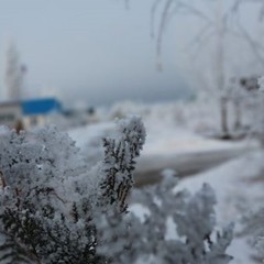 База отдыха Донские просторы, Серафимович, Волгоградская область