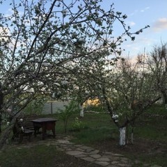 База отдыха Донские просторы, Серафимович, Волгоградская область