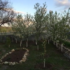 База отдыха Донские просторы, Серафимович, Волгоградская область