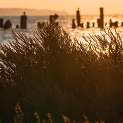 Гостиница Штурвал, Сенной, Краснодарский край