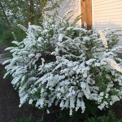 База отдыха Донские просторы, Серафимович, Волгоградская область