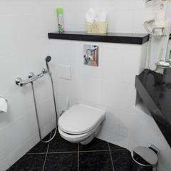 Гостиница Лавры, Сергиев-Посад, Московская область