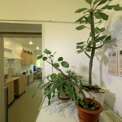 Хостел Как дома, Сергиев-Посад, Московская область