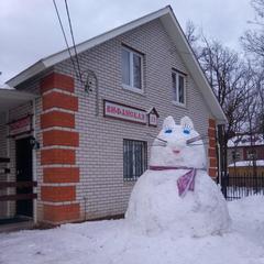 Гостевой дом Теремок, Сергиев-Посад, Московская область