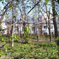 Гостевой дом Теремок, Сергиев-Посад, Московская область