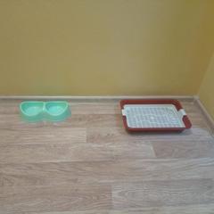 Хостел Nice, Сергиев-Посад, Московская область