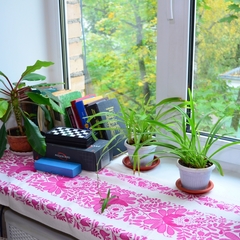 Хостел Как дома, Сергиев-Посад, Московская область