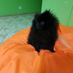 Хостел Nice, Сергиев-Посад, Московская область