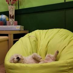 Хостел Nice, Сергиев-Посад, Московская область