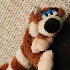 Хостел Nice, Сергиев-Посад, Московская область