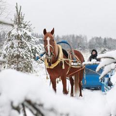 Курорт Палисад Resort, Серпухов, Московская область