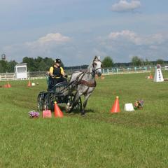 Загородный отель 4 сезона, Серпухов, Московская область