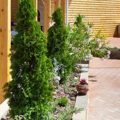 Пансионат Даламия, Симеиз, Крым