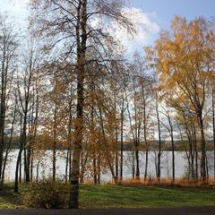 Коттеджный комплекс Лагуна, Силино, Ленинградская область