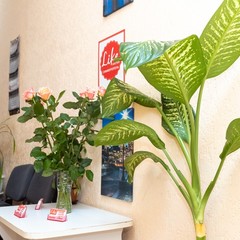 Хостел Like, Симферополь, Крым